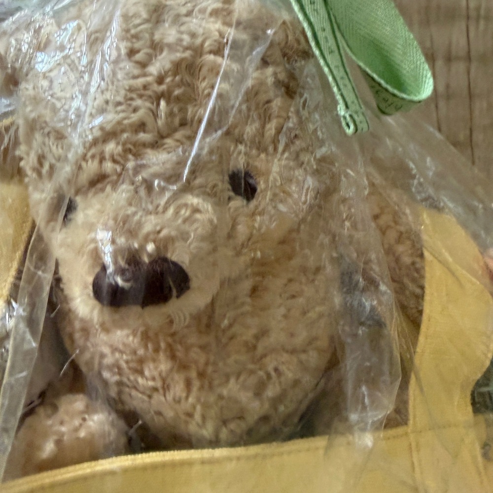 Classic Pooh 4 Piece Canvas Gift Set Tote Fleece Blanket Plush Toy Pacifier Clip - Picture 4 of 11